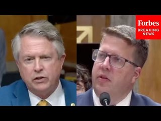‘We Should Just Let The Scammers Go On?’: Roger Marshall Grills Witness On Fraud Accountability