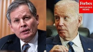 ‘I Don’t Think Americans Can Afford These Dangerous Policies’: Steve Daines Sounds Off On Bidenomics