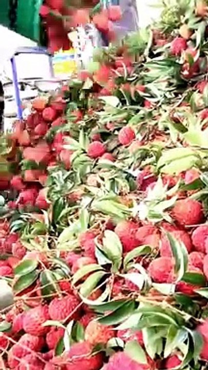 Valley Fruit Farm beautiful and healthy fruit