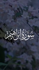 #Surahibrahim#Surah#Quran#islam#islamic#traqareer#Surahyaseen#surahrahman#Surahmulk#surahwaqia#Sueahsajdha#Surahkhaf#1billionvuews#tranding#fyp#foryou#islamiccartoon#islamicmovie#islamicstatus#Comedy#islamicmusic#islamicpoetry#movie#islamichistory