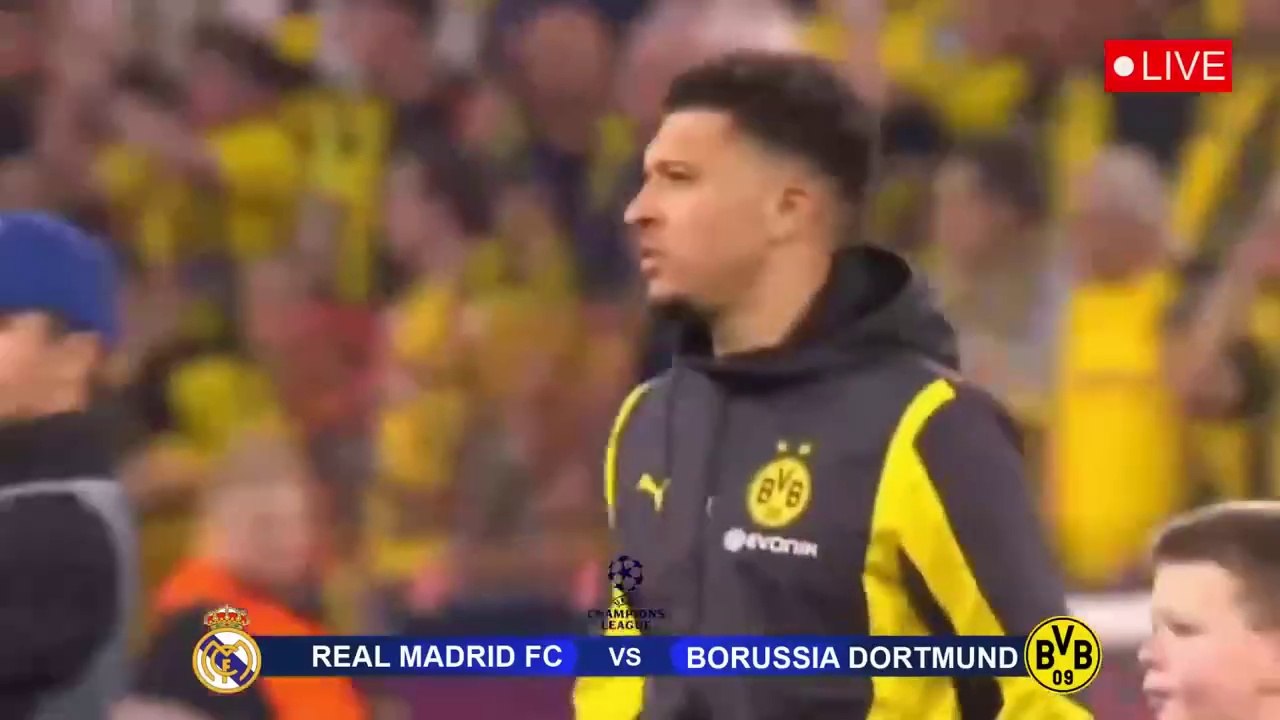 Real Madrid VS Borussia Dortmund (20) _ Vini Jr Goals FINAL Liga