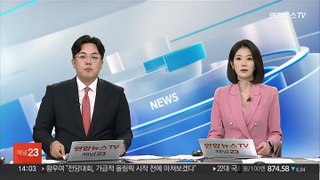 정부, 대북전단 살포 '자제 권고 불가' 재확인