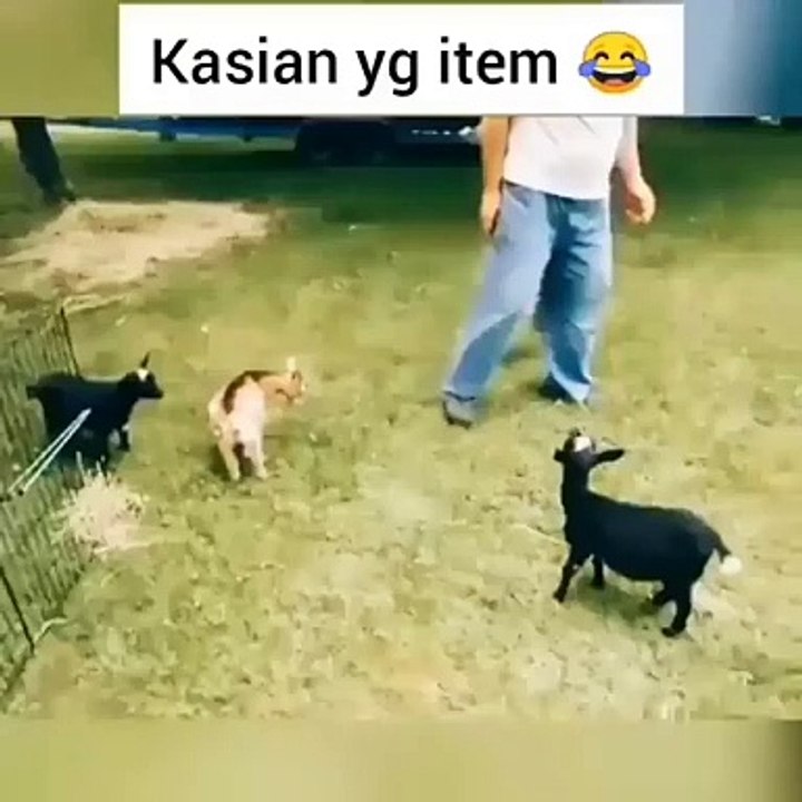 Kasian si item