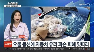 [뉴스현장] '오물 풍선' 낙하로 차량 화재·파손 잇따라…보상 대책은?