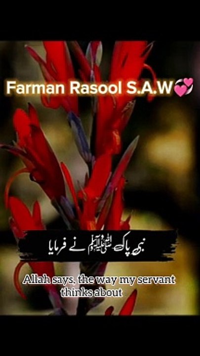 A'hadees in urdu