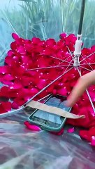 Amazing tutorial with umbrella and roses ☂️ Who want to see the result. Było pięknie