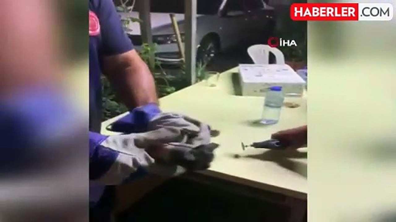 Su borusuna sıkışan yaramaz kedi, boru kesilerek kurtarıldı