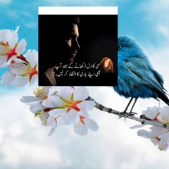 #Allah #muhammad #quran #azan #nimaz #hadees #suras #dua #fatwa #islamicstories #hadithoftheday