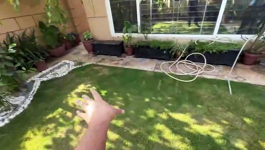Ducky Bhai