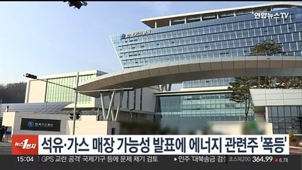 석유·가스 매장 가능성 발표에 에너지 관련주 '폭등'