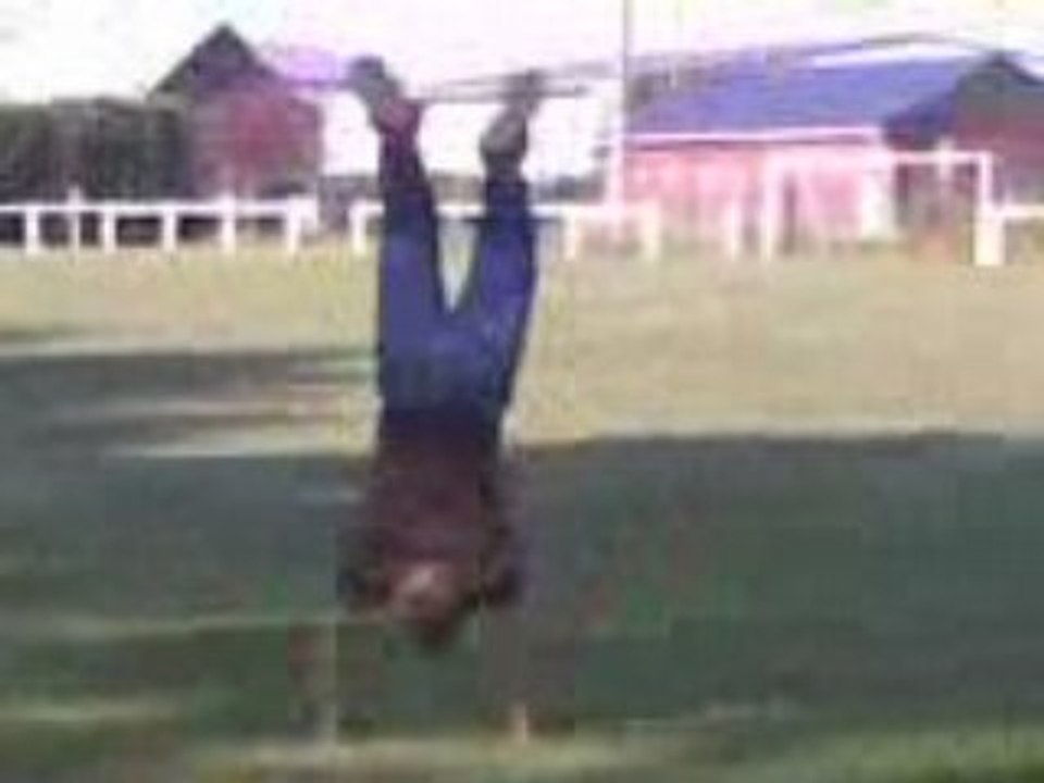Guizmo0o0o flip