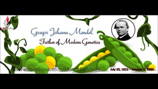 மரபியலின் தந்தை கிரிகோர் மெண்டல் கதை | Story of Father of Genetics Gregor Mendel in Tamil #TamilFire