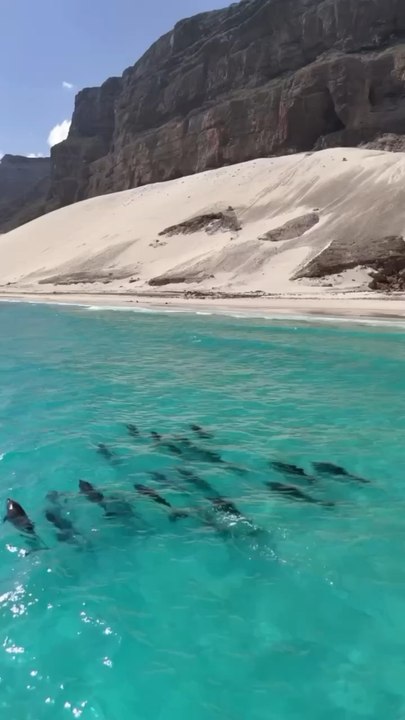 LA PLUS BLANCHE des plages du Yémen à Socotra : Arher Beach [@offtrackzora]