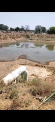 भीषण गर्मी को देखते ग्रामीणों ने  लिया ने लिया फैसला, पशु पक्षियों व जानवरों को मिली राहत