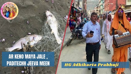 ar keno maya jale || HG Adikarta Prabhuji || Gaur Nitai Group