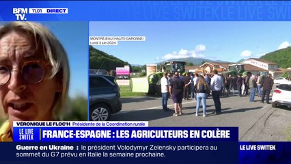 "Nous sommes prisonniers et otages de cette Politique Agricole Commune", estime Véronique Le Floc'h, présidente de la coordination rurale