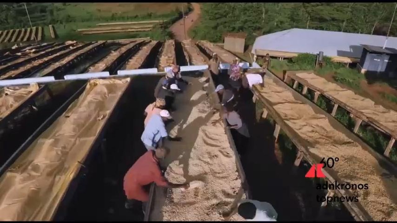 Economia Circolare, Nespresso lancia il progetto 'Da Chicco a Chicco' in Emilia Romagna