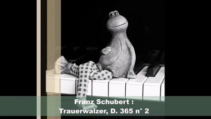 Franz Schubert : Valse funèbre, D. 365 n° 2