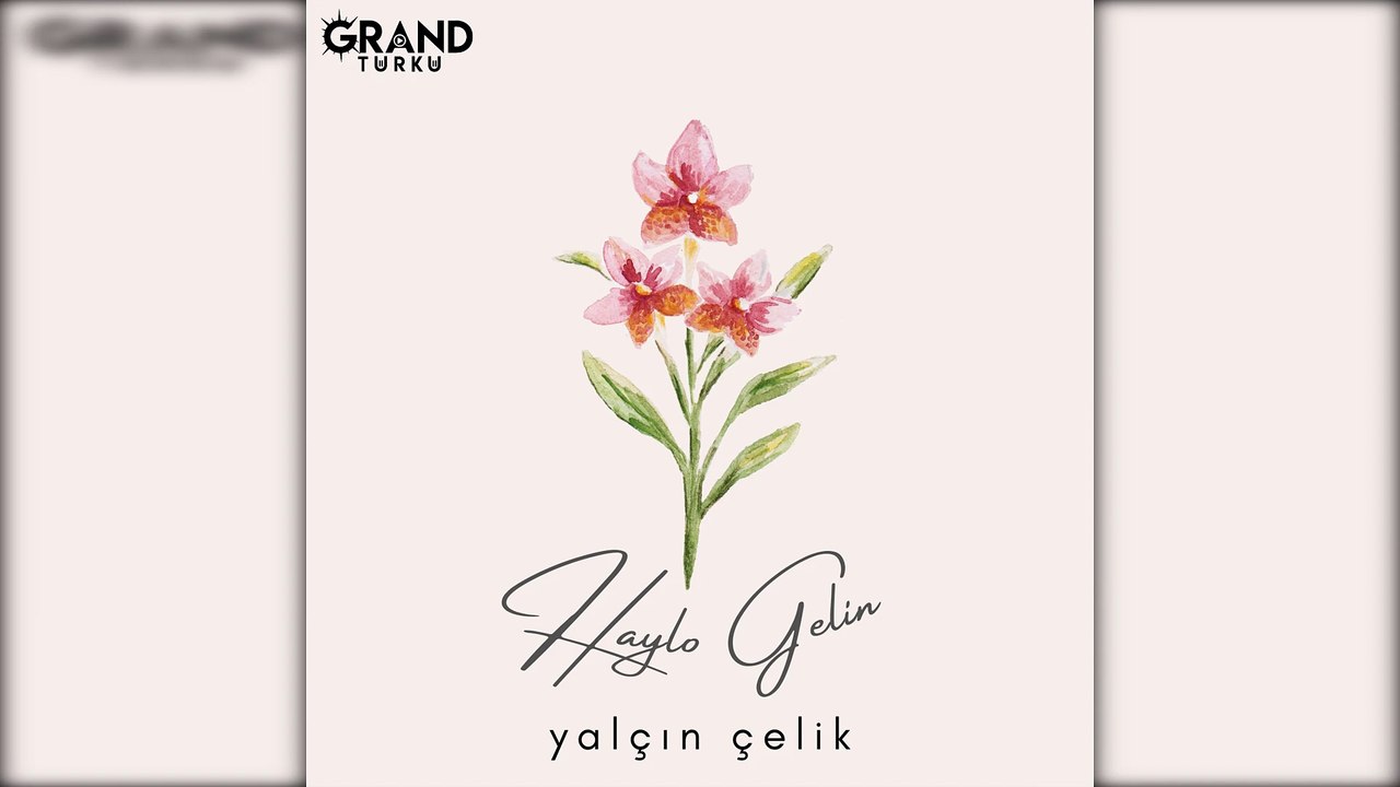 Yalçın Çelik - Haylo Gelin