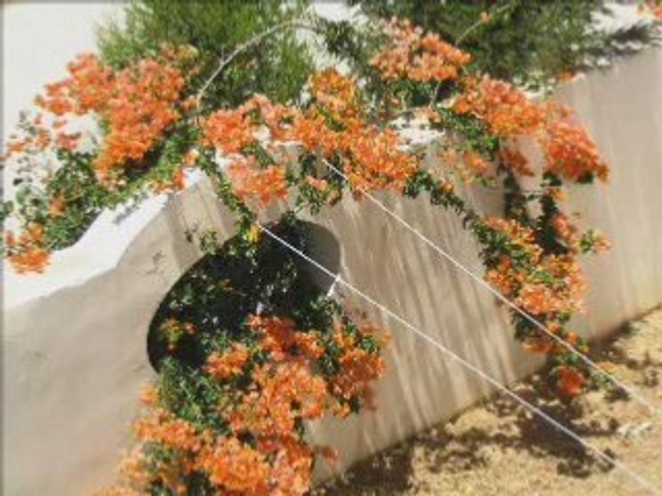 Urlaub in Hergla, Sousse, Tunesien (Ferienwohnung)