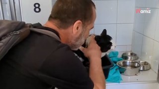 Un homme retrouve son chat perdu il y a 12 ans : la vidéo des retrouvailles est très émouvante