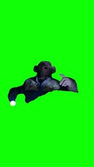 green-screen-oh-no-meme-planet-of-the-apes-meme-1080-ytshorts.savetube.me