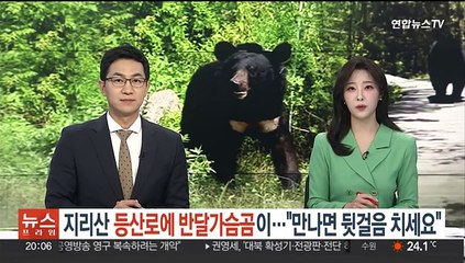 지리산 등산로에 반달가슴곰…"만나면 뒷걸음 치세요"