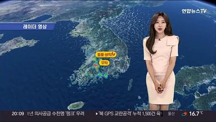 [날씨] 밤까지 남부 곳곳 소나기…돌풍·벼락·우박 주의