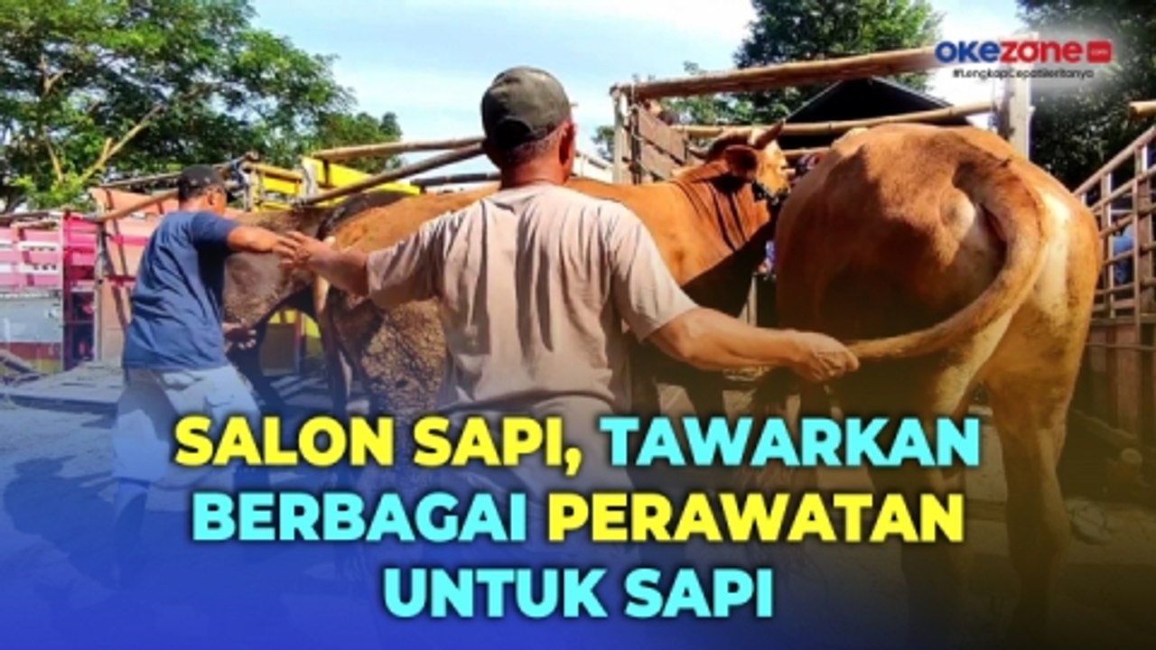 Salon di Pasar Wage Pati Diserbu Pelanggan, Tawarkan Berbagai Perawatan Untuk Sapi