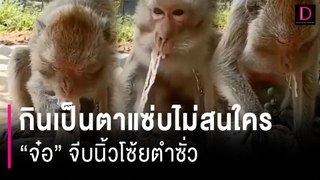 กินเป็นตาแซ่บไม่สนใคร “จ๋อ” จีบนิ้วโซ้ยตำซั่ว | HOTSHOT เดลินิวส์ 03/06/67