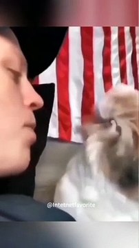 面白いペットの動画 今まで面白いペット ペットライフ ペット 面白いペット 猫