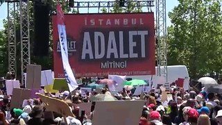 Türkei: Tausende protestieren gegen Tötung von Straßenhunden