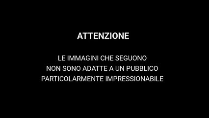 Il video dell'incidente al casello di Rosignano: l'auto che arriva senza frenare e l'impatto con le macchine in coda