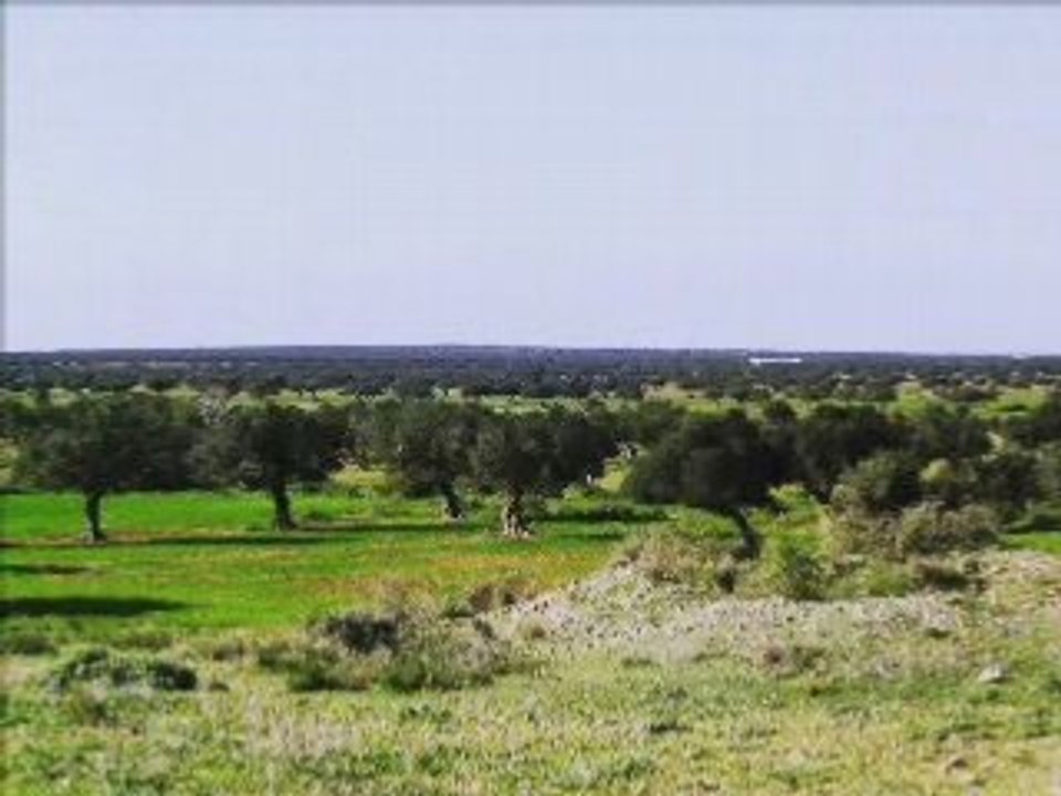 Holidays in Hergla, Sousse, Tunisia