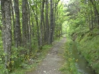 Canal de Beaumont 920m  - La Salle-en-Beaumont 38350_(1)