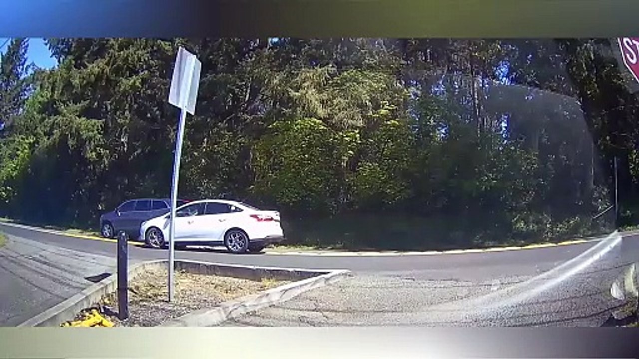 Ultimate Idiots in Cars #209 Car crashes caught on Camera