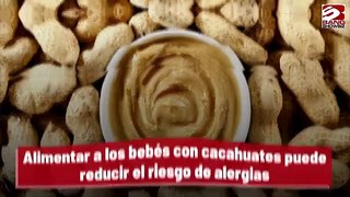 Alimentar a los bebés con cacahuates puede reducir el riesgo de alergias