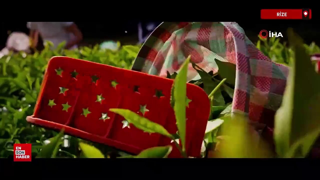 Çaykur Rizespor, yeni sezon formalarını taraftarına tanıttı