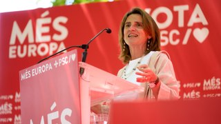 El CIS de Tezanos es la única encuesta que da al PSOE ganador en los comicios europeos