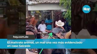 El maltrato animal, un mal una vez más evidenciado en caso Salcedo