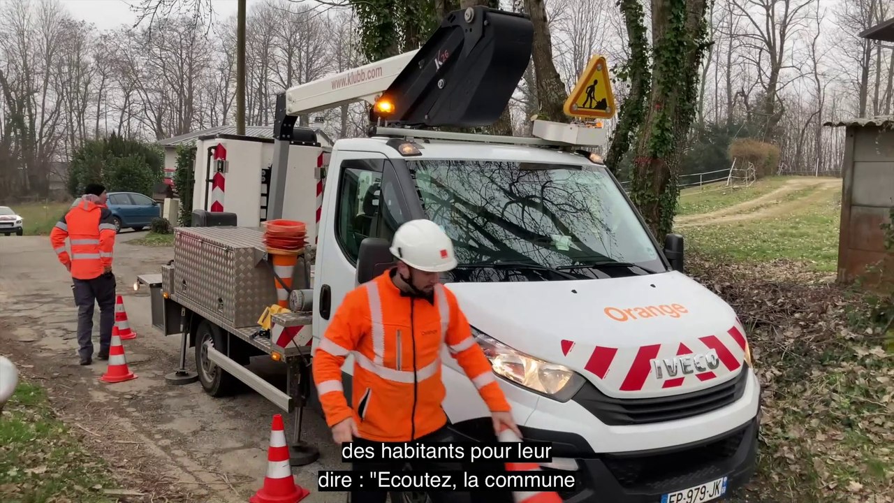 Elagage à Vimines - Pour rester branché, élaguez - Orange