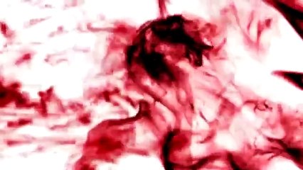 Ep. 05# A Entidade da Encruzilhada Pt. II Sofremos Um Acidente!