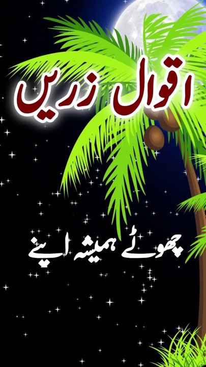 Chhote Hamesha Apne Badon Se Sikhte Hai |Golden Words |Aqwal e Zareen I #islamicvlog #islamicvideo #urdusadpoetry #viral #aqwalezareen #urdupoetrystatusl #live #urdupoetry #urdupoetrystatusl #urdushayari #whatsappstatus