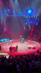 Circus Trick Goes Wrong