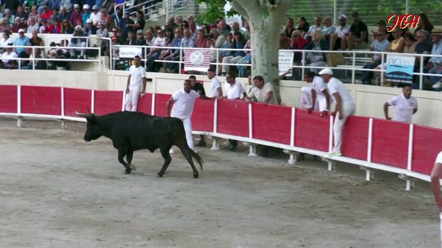 1è Juin 2024 Les As à Fourques