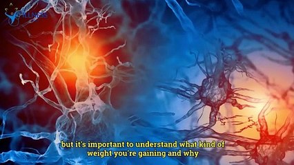 How To Gain Weight Fast in a healthy Way & What food you should eat | Illness Insights || Illness Insights
