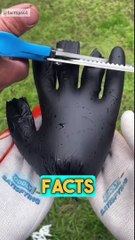 Interesting Facts You Didn't know