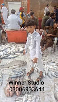 Karachi Fishri Mole /Karachi Market/Karachi Famous Mole/