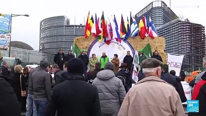 Agricultores de España y Francia se coordinan para protestar a puertas de comicios europeos