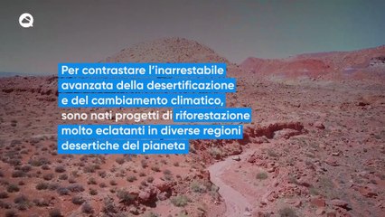 Rendere più verdi i deserti, una buona idea o una grande sciocchezza?